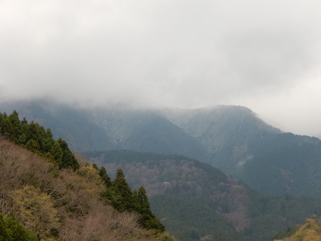 a0048040_19372065.jpg