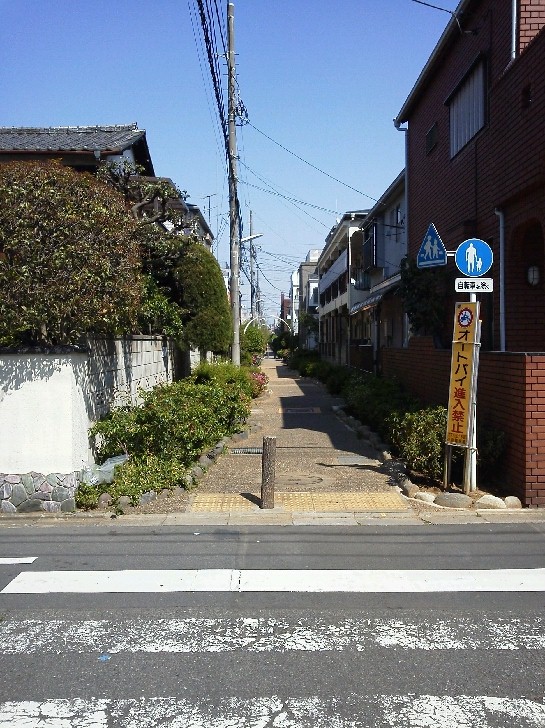 b0031140_23255724.jpg