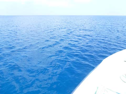 f0014842_17301974.jpg