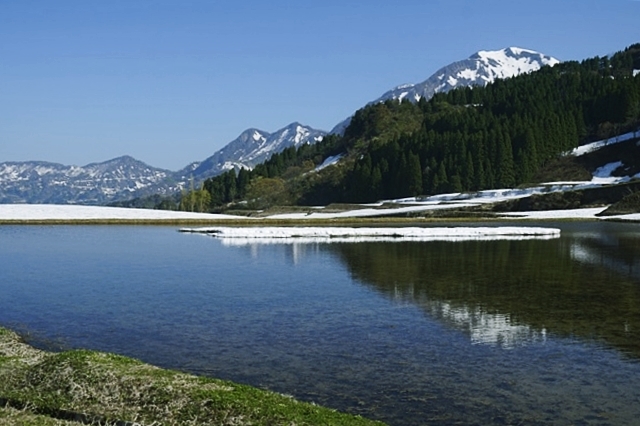 b0122448_21435920.jpg