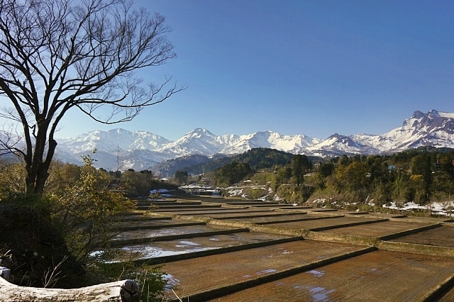 b0122448_21450469.jpg