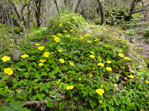 c0179351_2147421.jpg