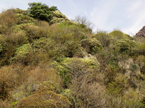c0179351_2148315.jpg