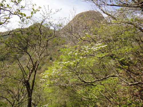 c0179351_21525693.jpg