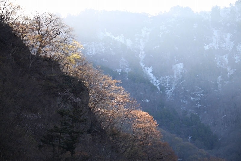 b0250154_22181657.jpg