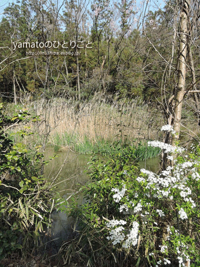 a0286855_1210399.gif