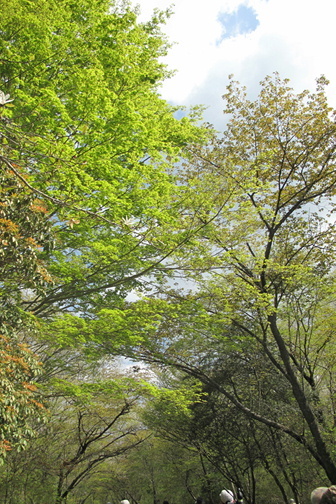 e0201060_16013089.jpeg