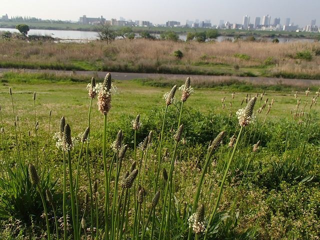 b0044663_1723640.jpg
