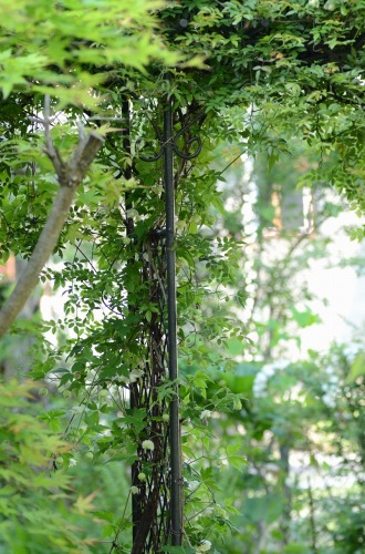 c0186463_18227.jpg