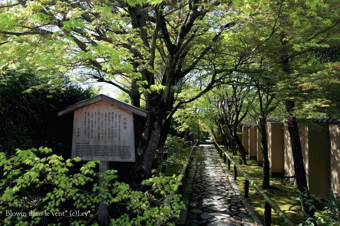 f0251765_1441153.jpg