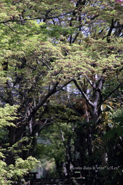 f0251765_14455497.jpg