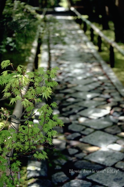 f0251765_144943.jpg