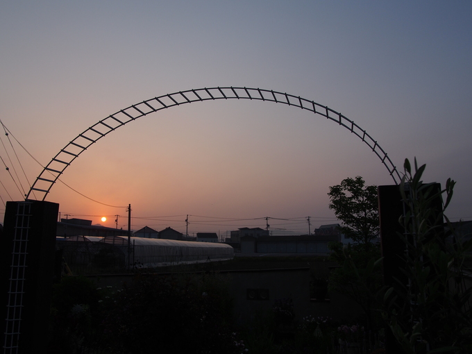 b0194267_20451345.jpg