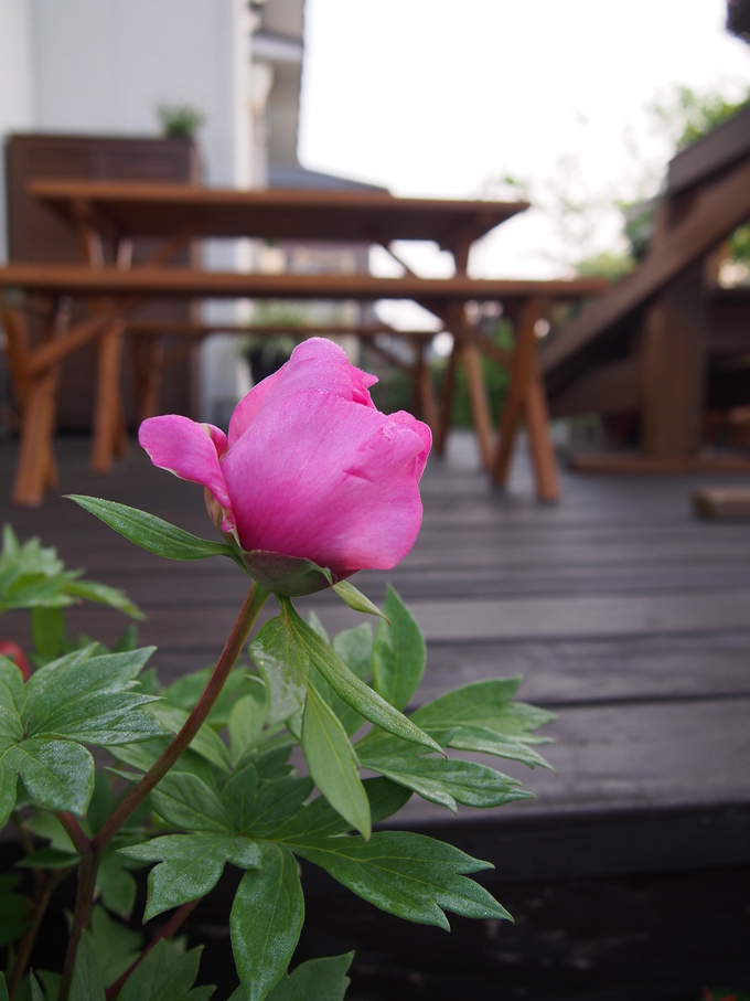 b0194267_2232346.jpg