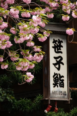e0045768_220226.jpg