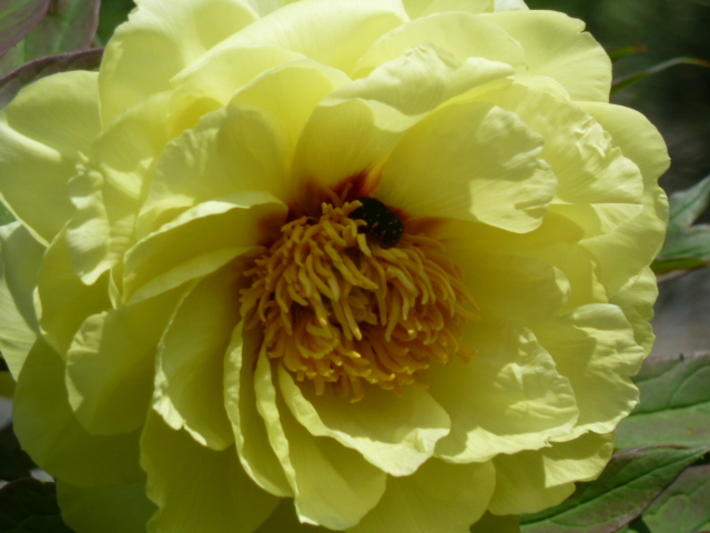 e0278968_20545647.jpg