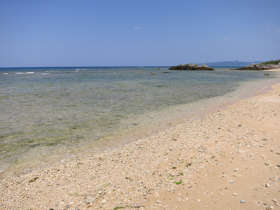 c0117570_1341546.jpg