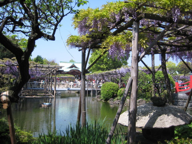 c0032771_23181033.jpg