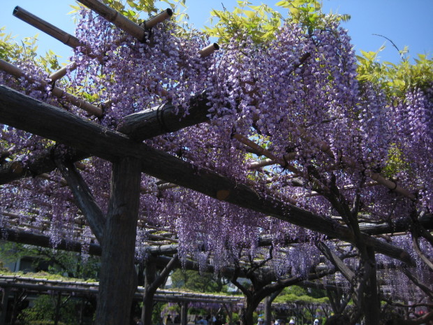 c0032771_23183948.jpg