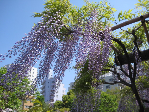 c0032771_23190707.jpg