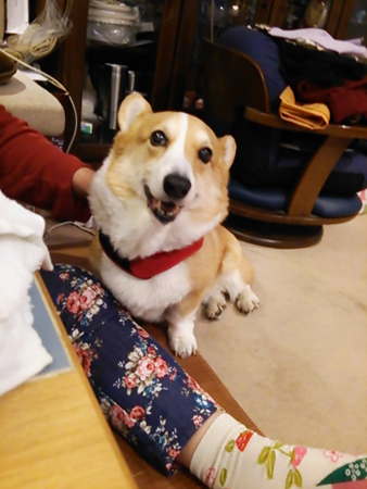 f0000673_2343222.jpg