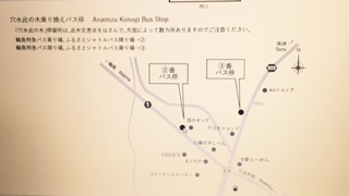a0161974_9583031.jpg