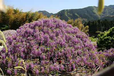 c0152779_2129145.jpg