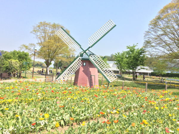 f0014980_18094845.jpg
