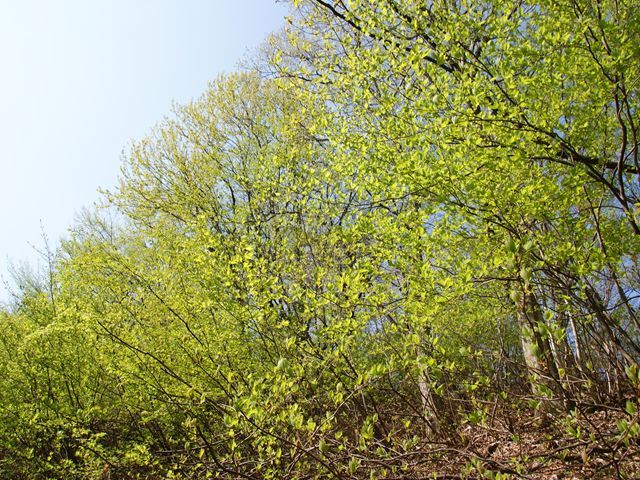 e0271890_16443722.jpg