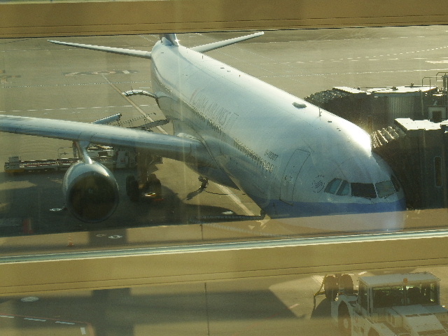 d0133791_1417211.jpg