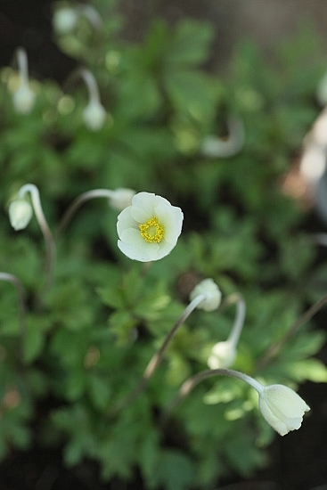 e0209997_2148499.jpg