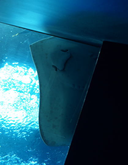 f0153497_2285470.jpg