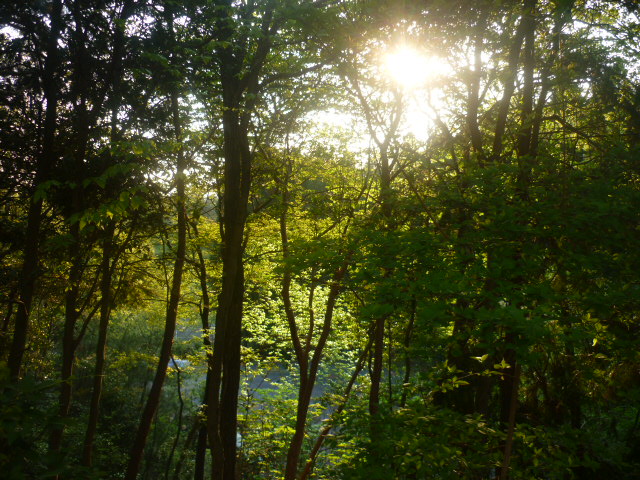 e0326699_015338.jpg