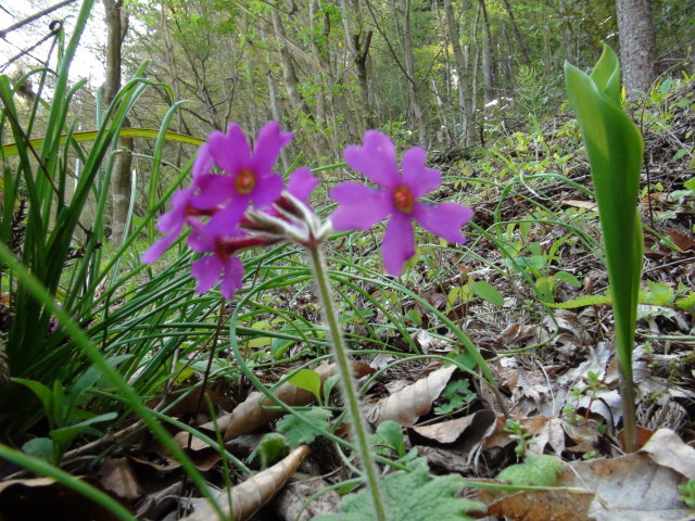 f0231709_15523128.jpg