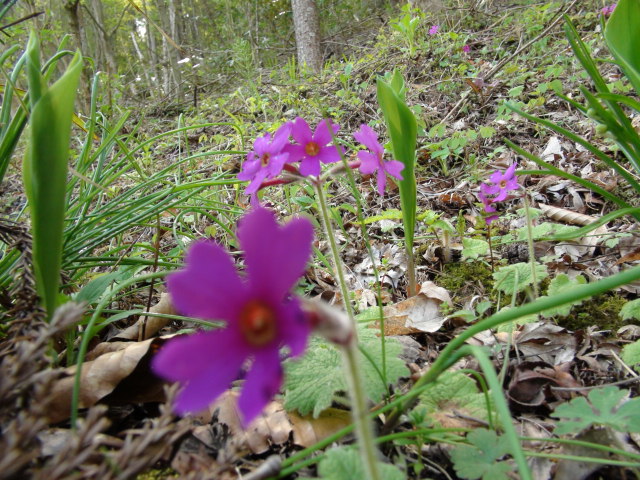 f0231709_15533447.jpg