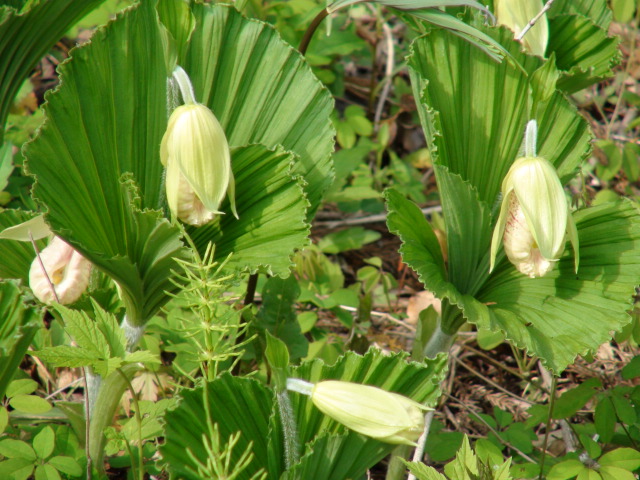 f0231709_15594137.jpg