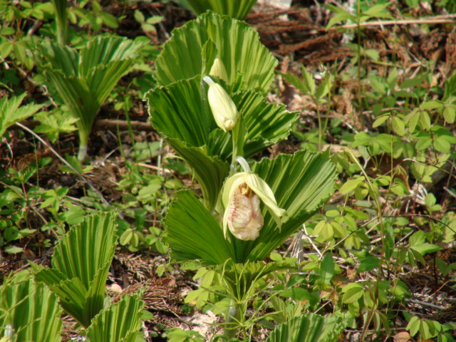 f0231709_1559699.jpg