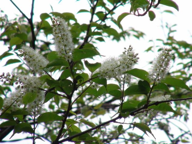 f0231709_1622580.jpg