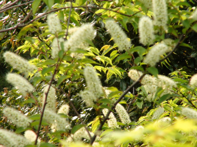 f0231709_163248.jpg