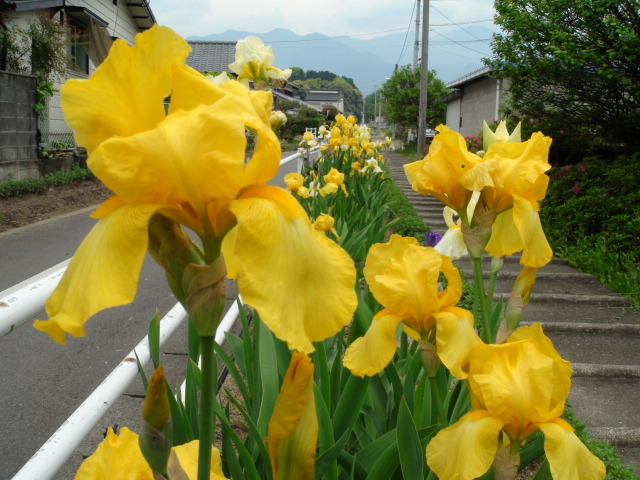 f0231709_1717422.jpg