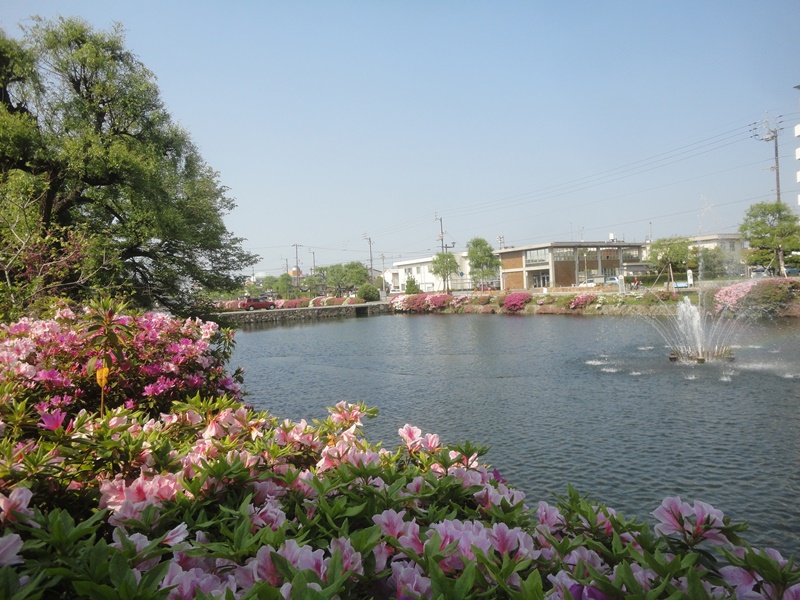f0231709_227299.jpg