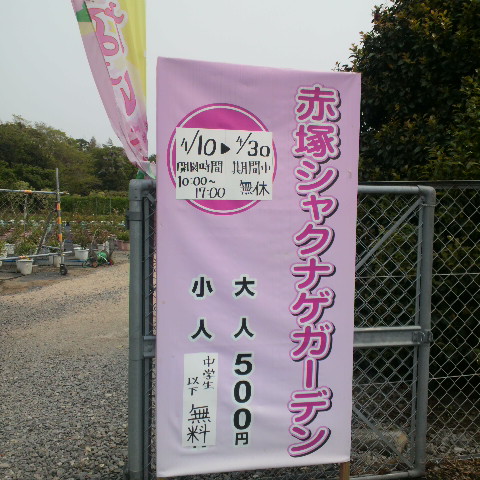 e0099212_22423243.jpg