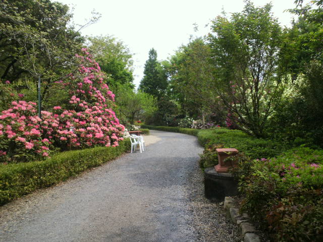 e0099212_22463945.jpg