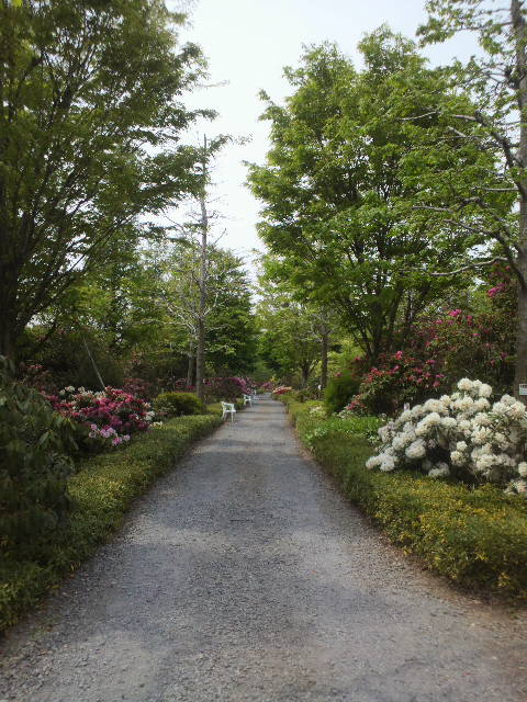 e0099212_22522011.jpg