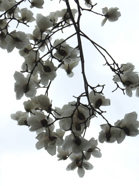 b0309813_0471657.jpg