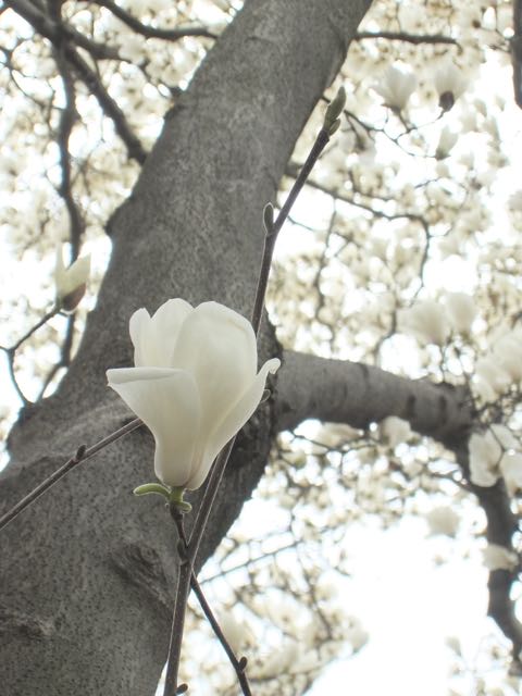 b0309813_0475435.jpg