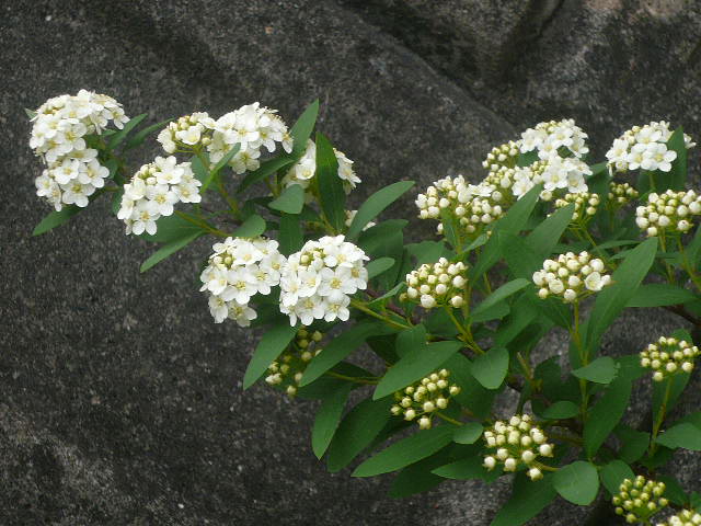 e0026017_13381634.jpg