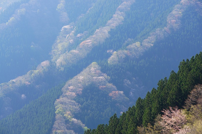 c0119618_6515837.jpg