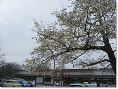 b0167519_20474218.gif