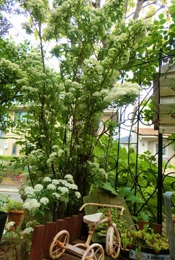 c0204121_1955980.jpg